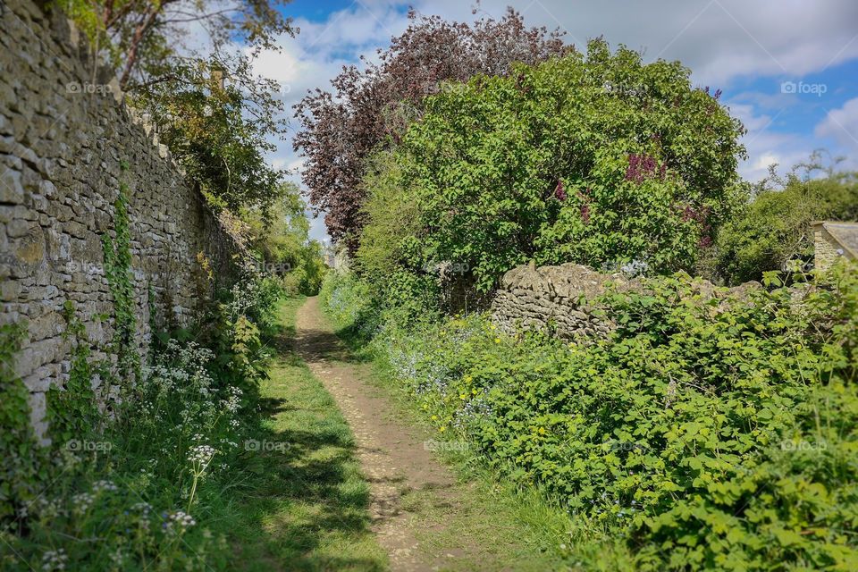 Path. Footpath