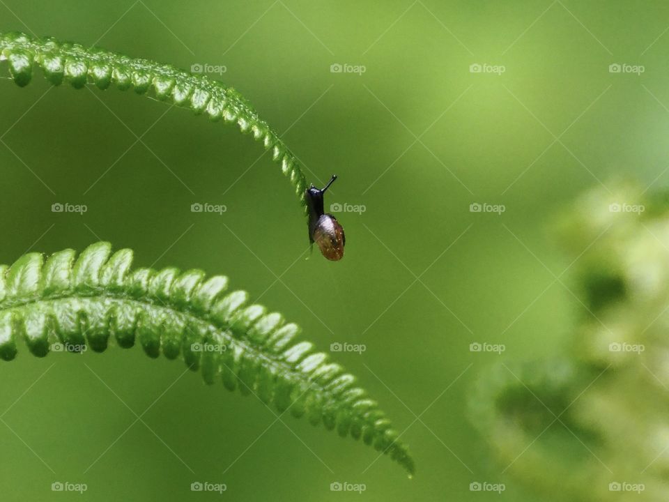 On the very edge of the world