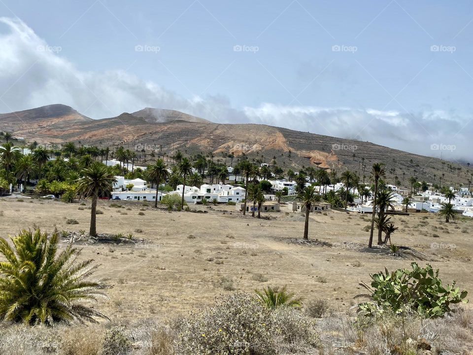 The valley of a thousand palms 