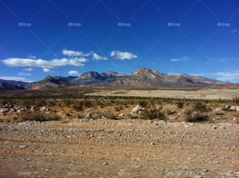 Nevada