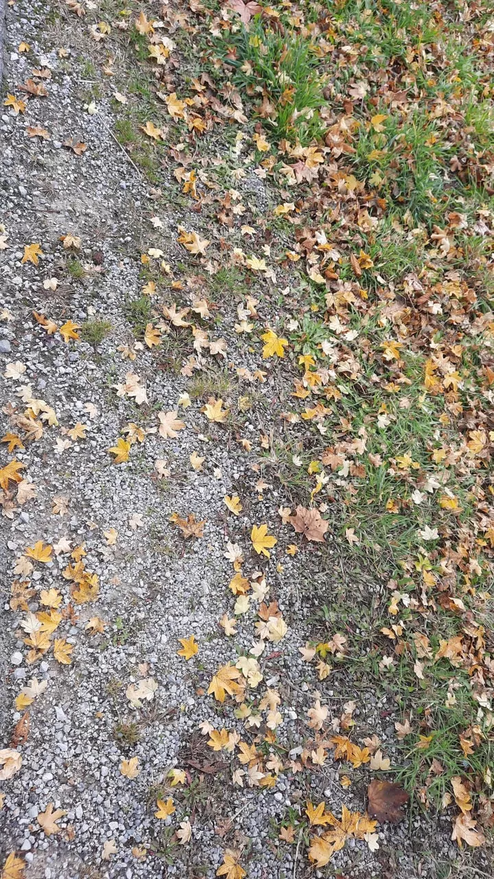 Herbst 