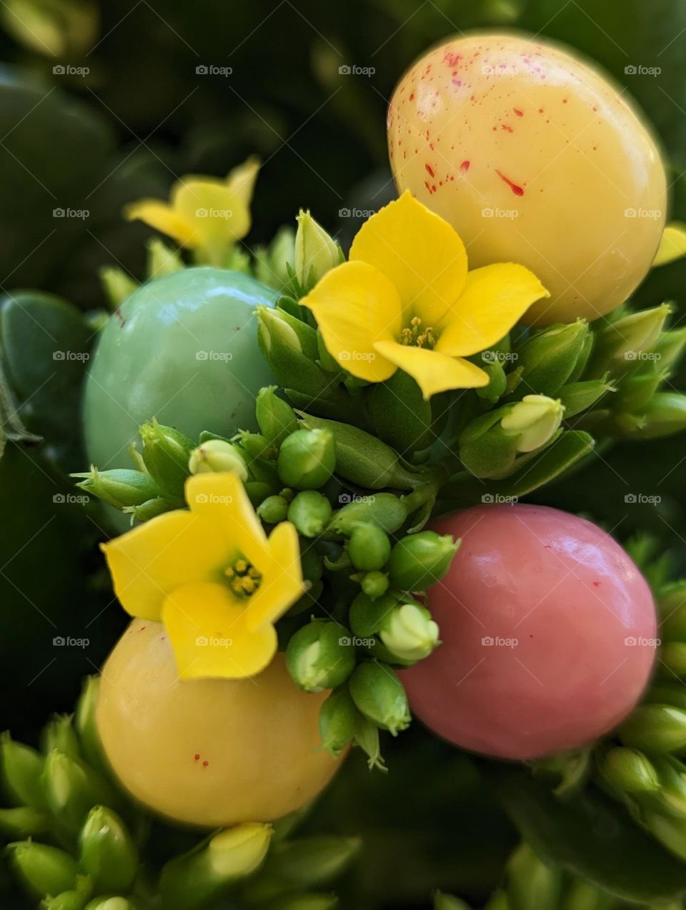 eggs and flowers