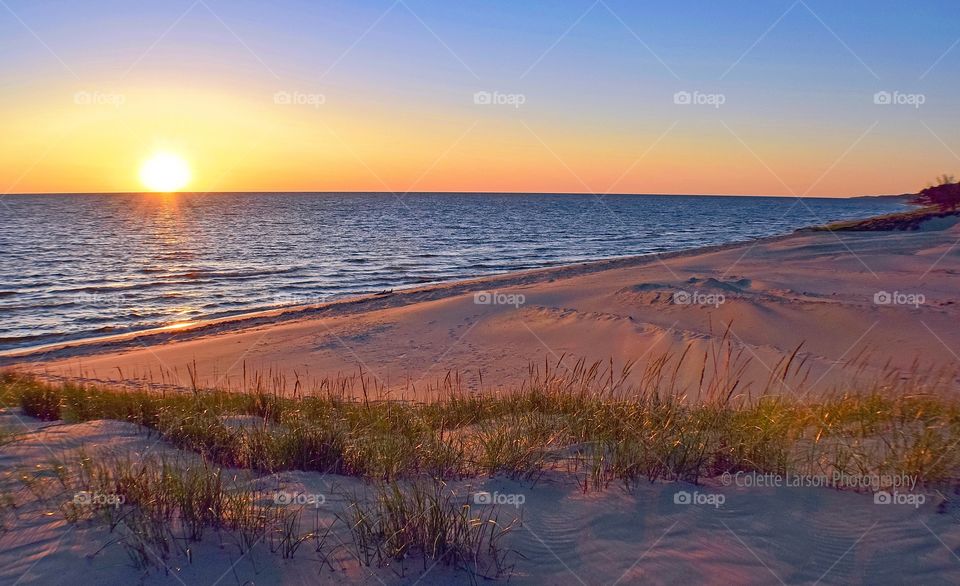 Sun-Kissed Dunes