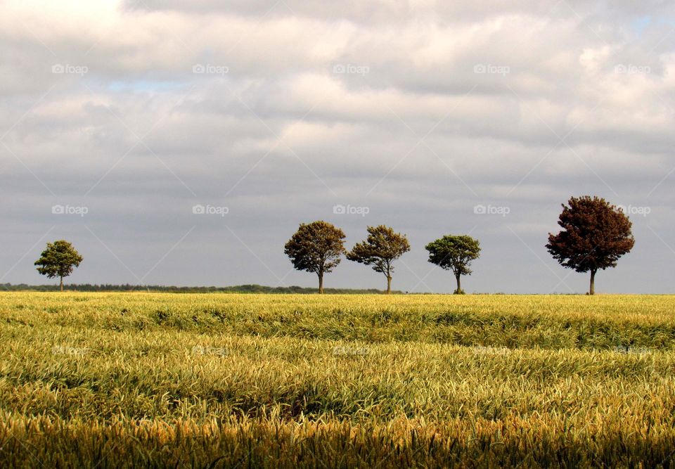 rural charm