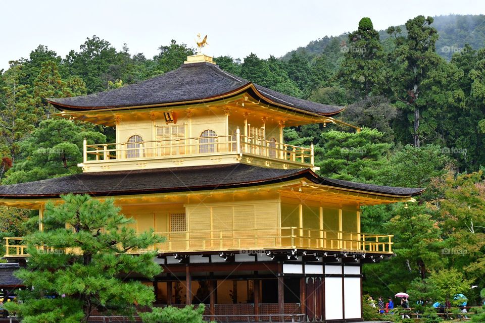 Golden temple