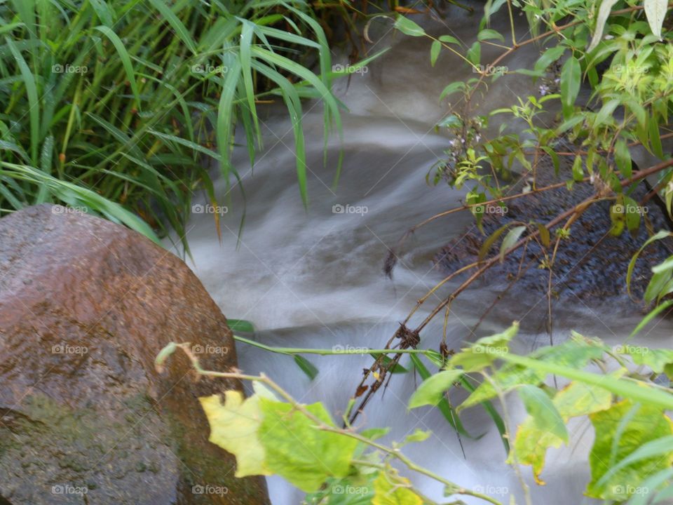 stream water