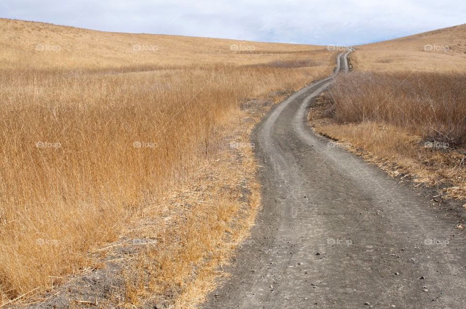 Dirt road up a hill