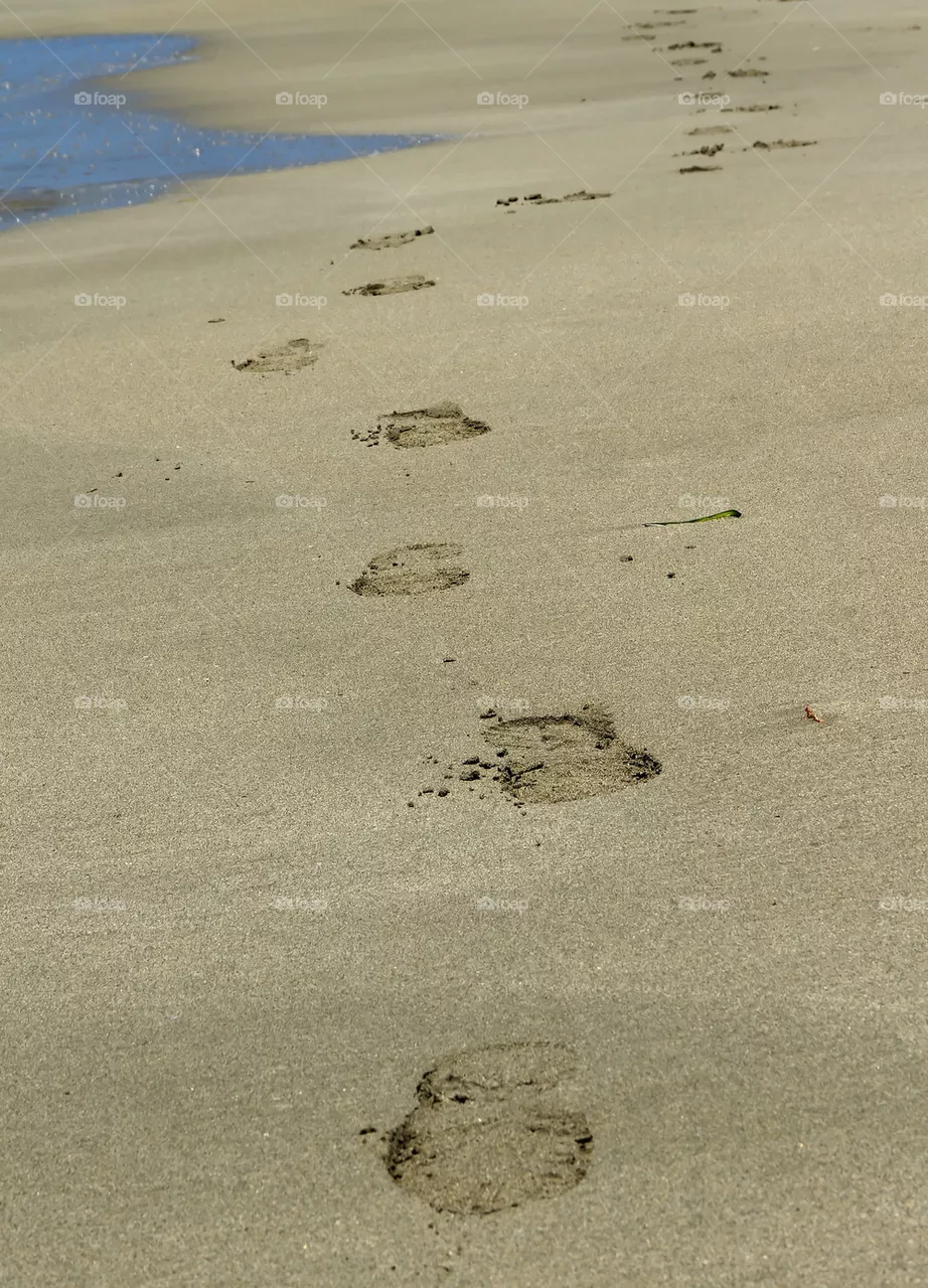 Traces