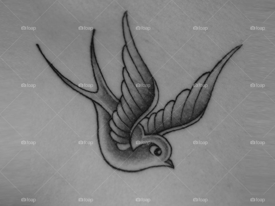 Women dove duck bird 3d tattoos Design Idea for Men and Women