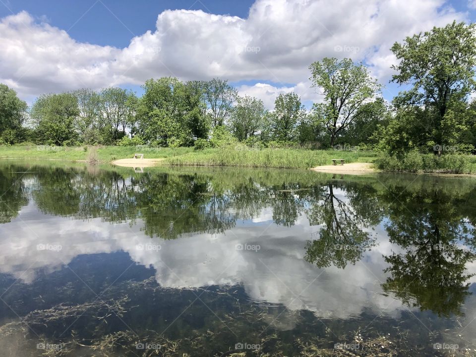 Nature’s Reflections 