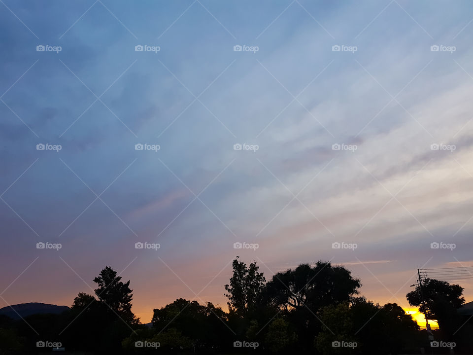 sunrise with clouds making lines above the tree tops.