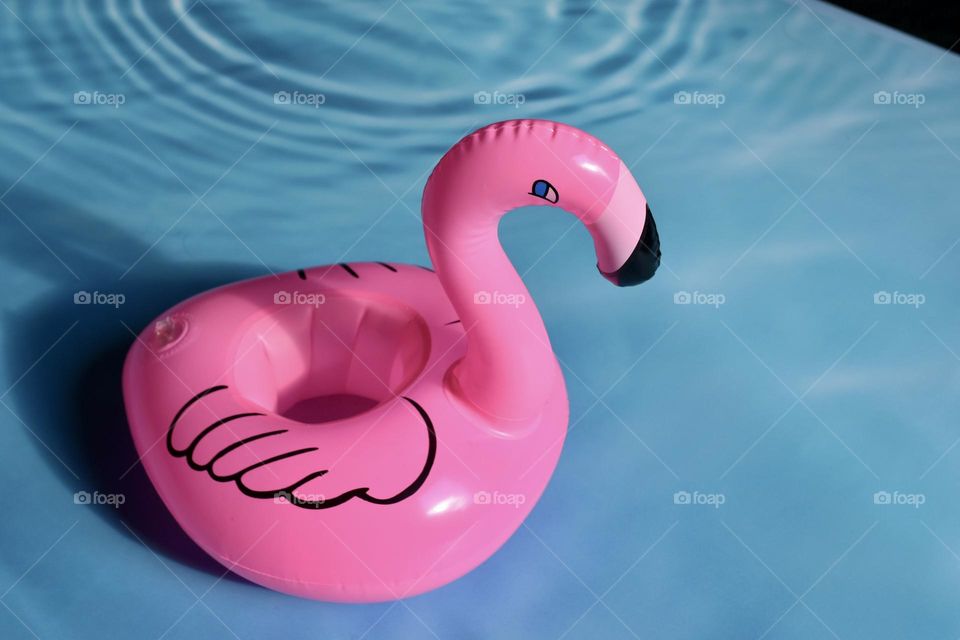 Pink flamingo 