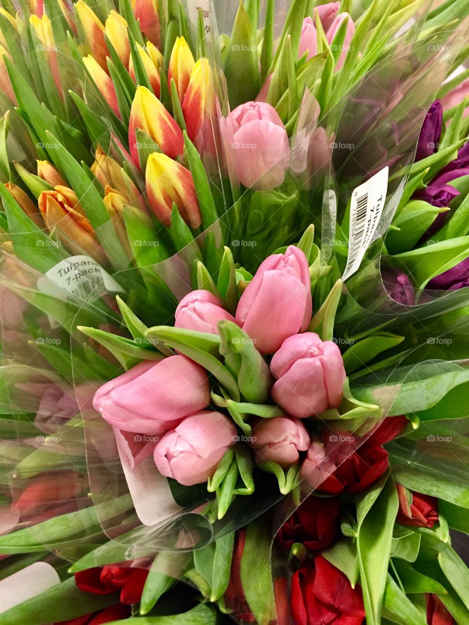 Tulips