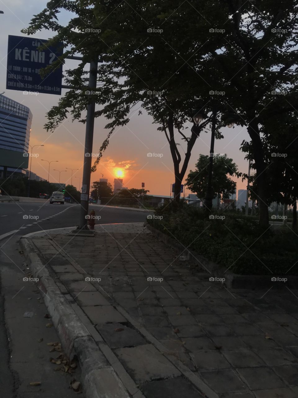 Sunset