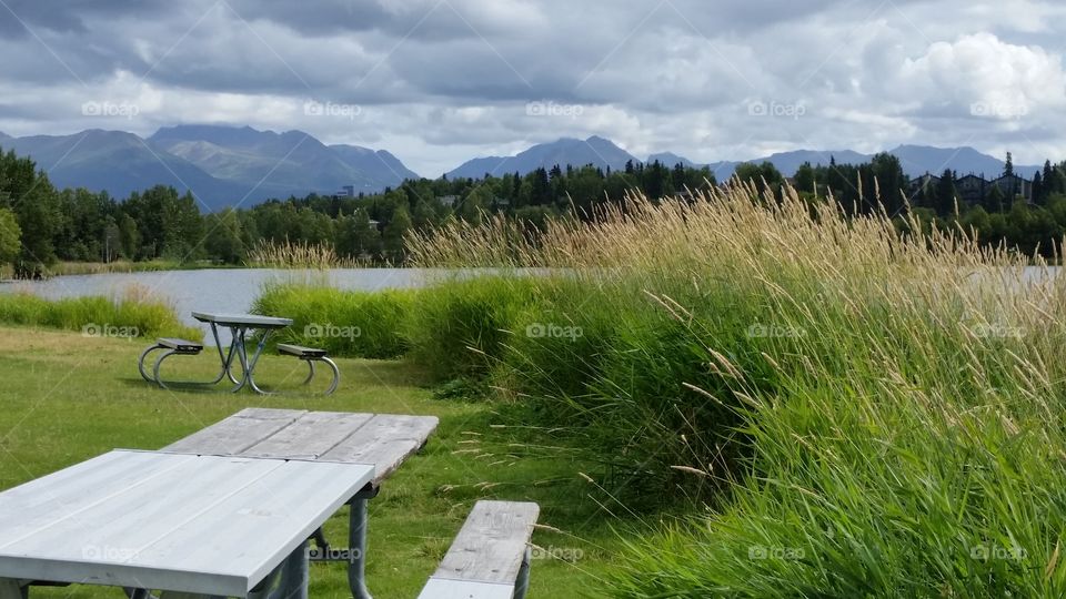 picnic tables