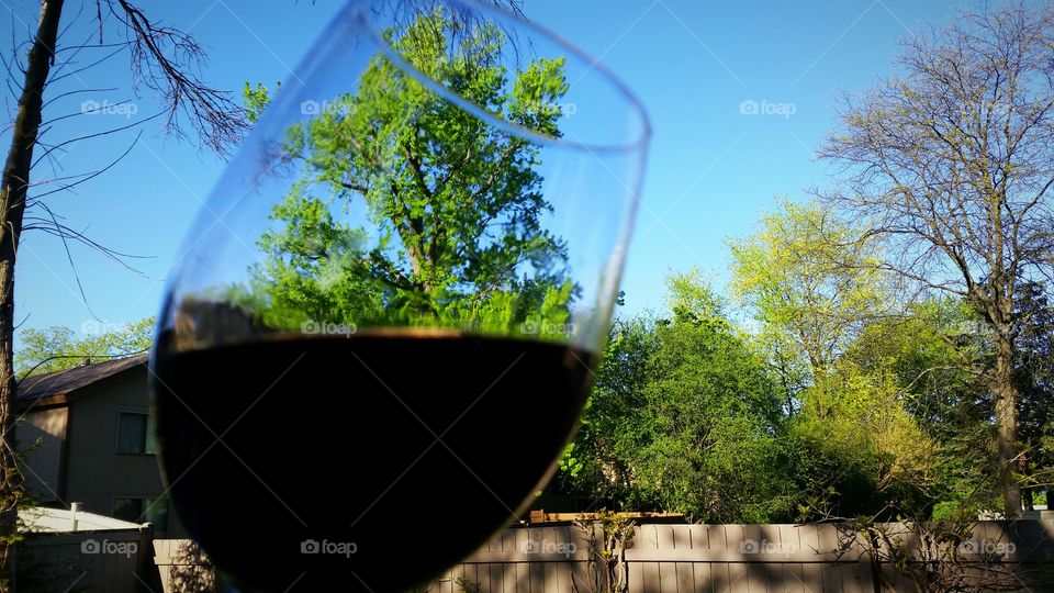 Glass of  red wine