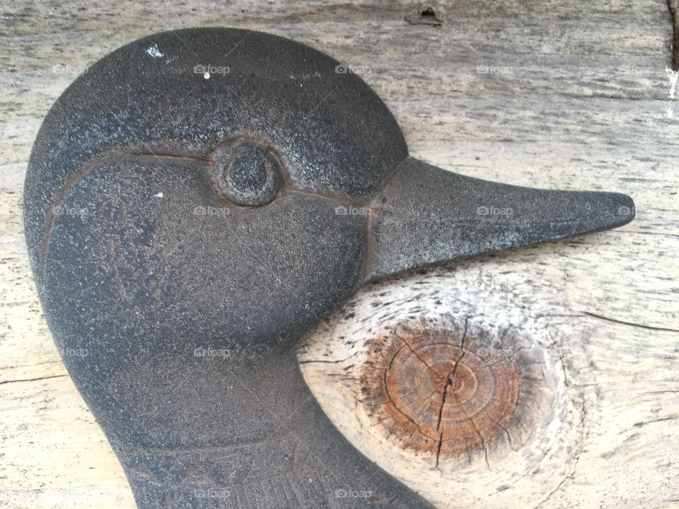 Duck decor