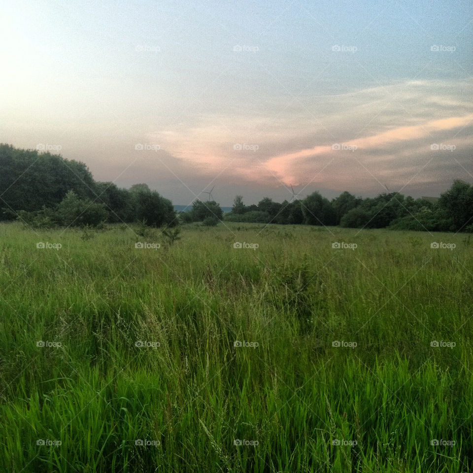 sky meadow nature sunset by annamanda
