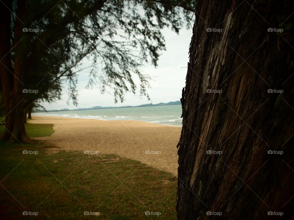 Tree, No Person, Landscape, Water, Travel