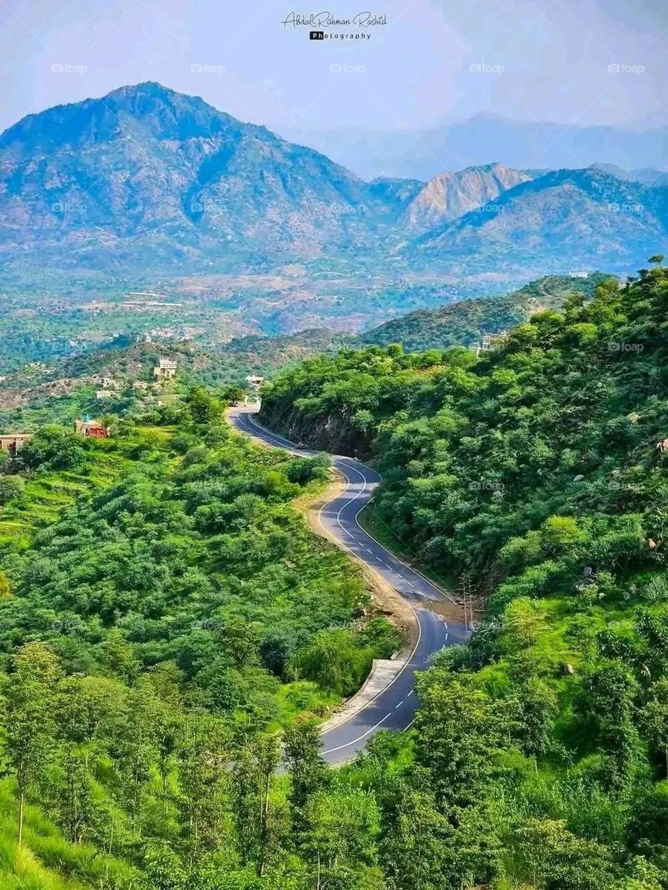 A very beautiful picture, and there is no better picture than it. There is no better picture of green herbs and colorful, red and white roses than it. Glory be to God, the natural and picturesque view, and there is no more