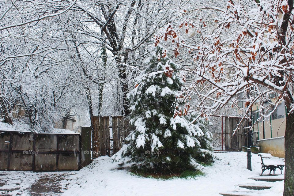 Landscape of a winter idyll in the city.  Public park covered with snow