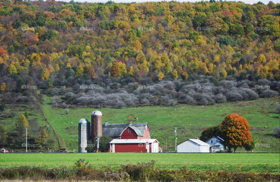 Farm in the Fall