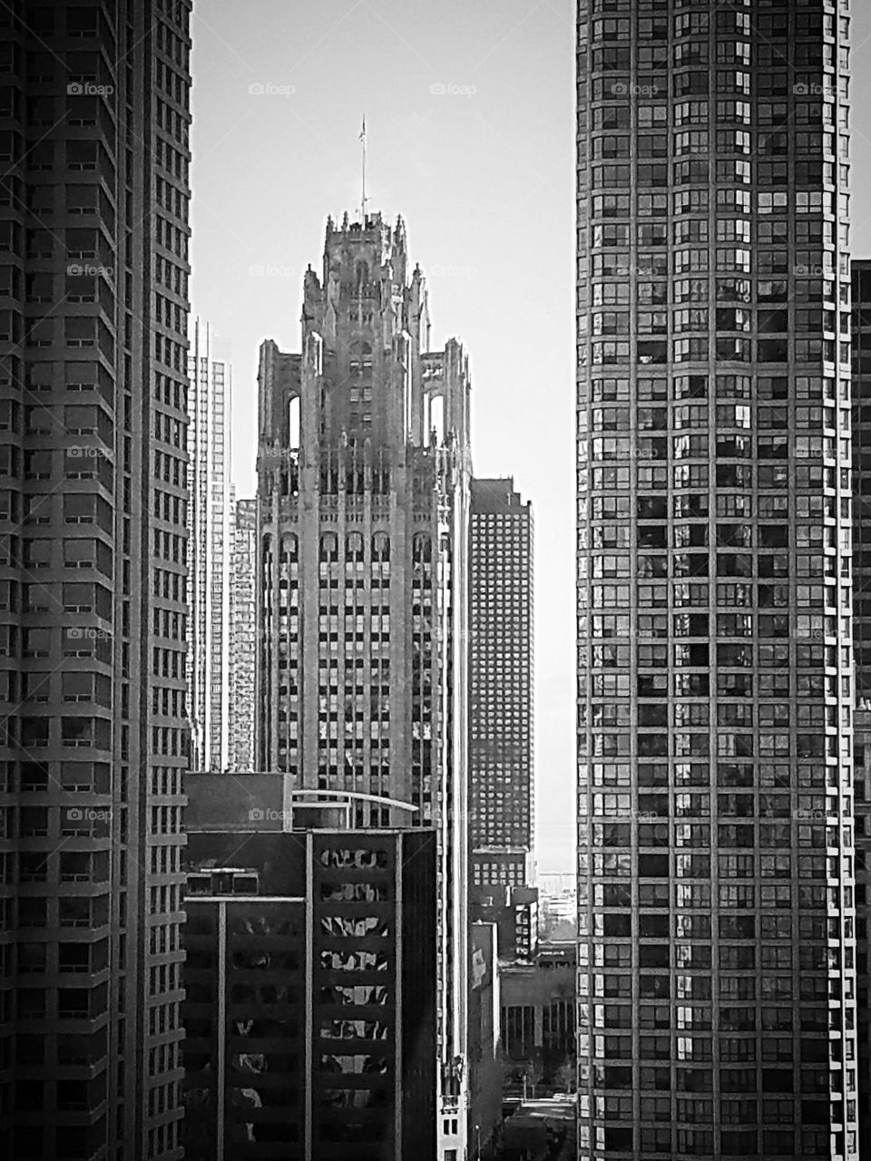 black and white photo of the Tribune Tower in Chicago Illinois