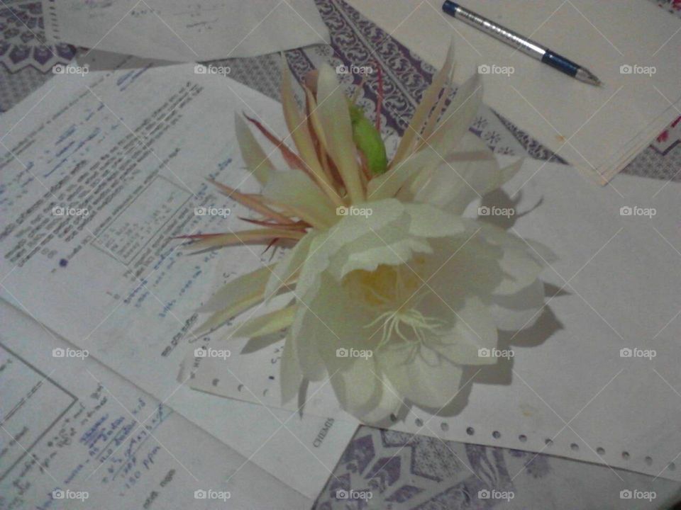 Life is like a flower, just do your studies well