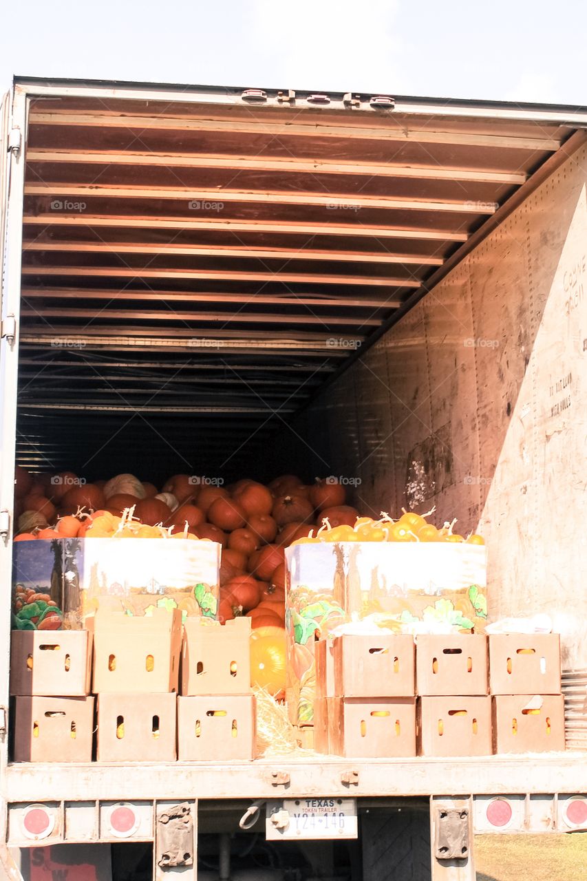 Truck full of pumpkins 
