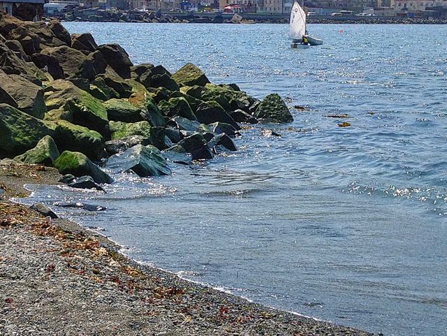 Summer by the ocean