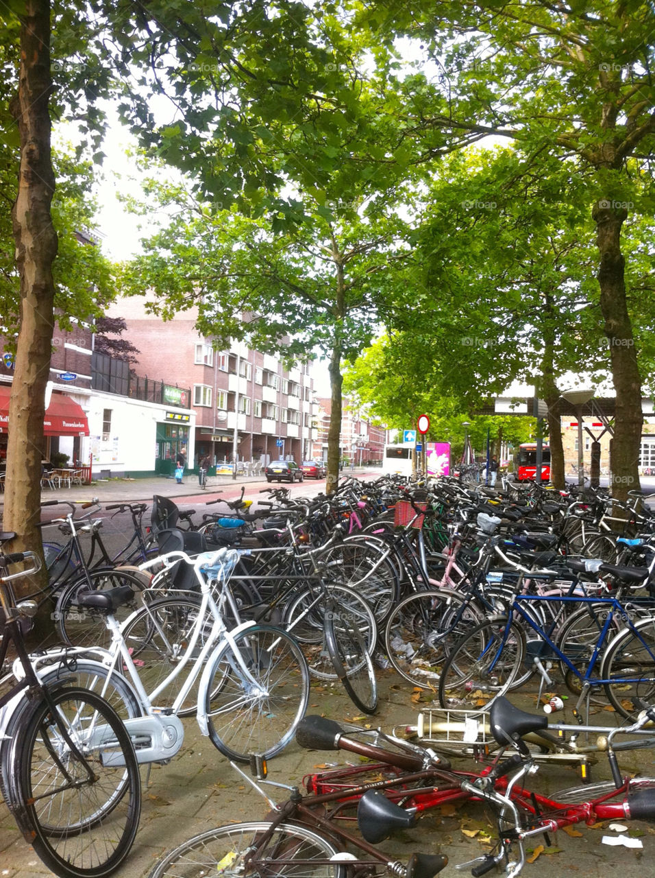parking netherlands bikes breda by alejandrorubiob