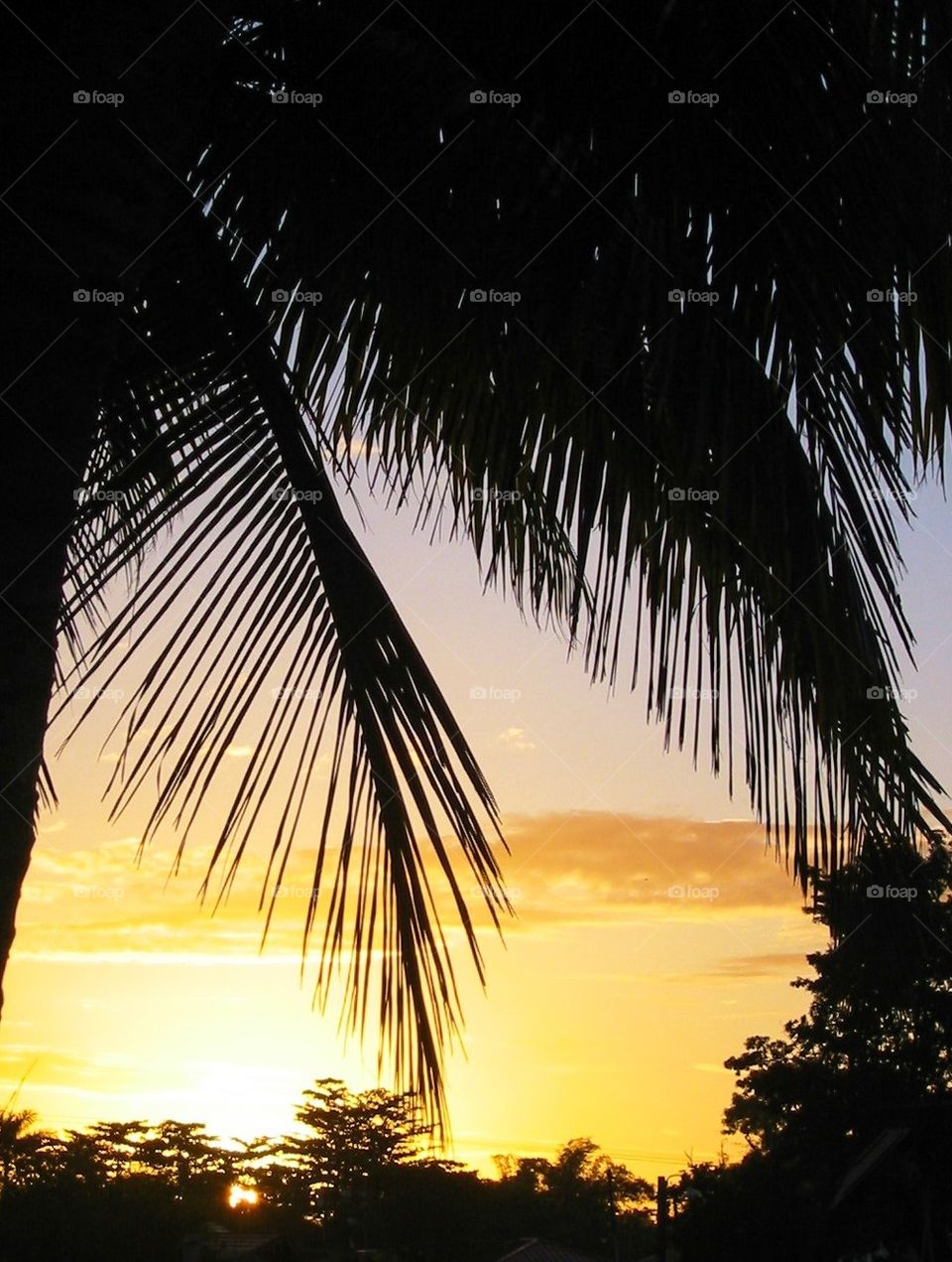 Jamaican sunrise