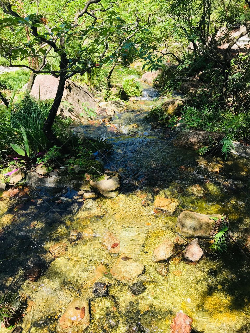 Beautiful stream in Japanese gardens