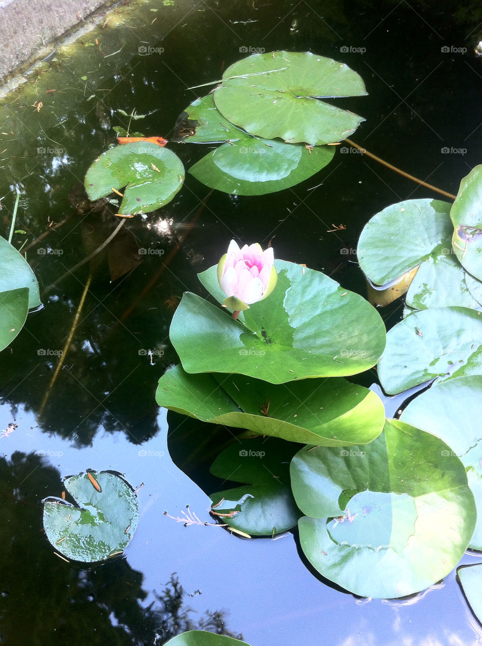 sweden löderup by goransv