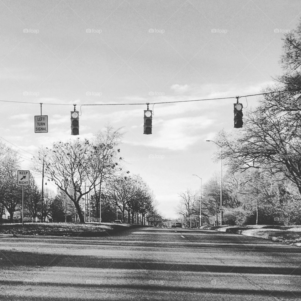 Road, Winter, Transportation System, Street, Tree