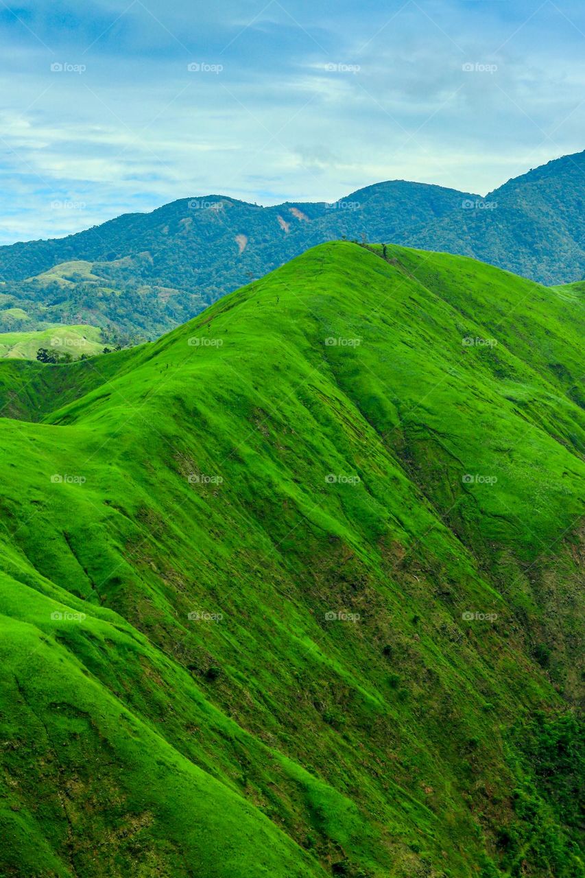 Greenish Mountain Range viewed from a vantage point.