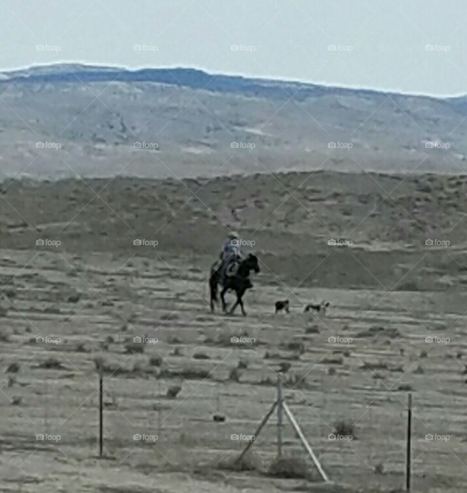 real live honest-to-god cowboy in Utah