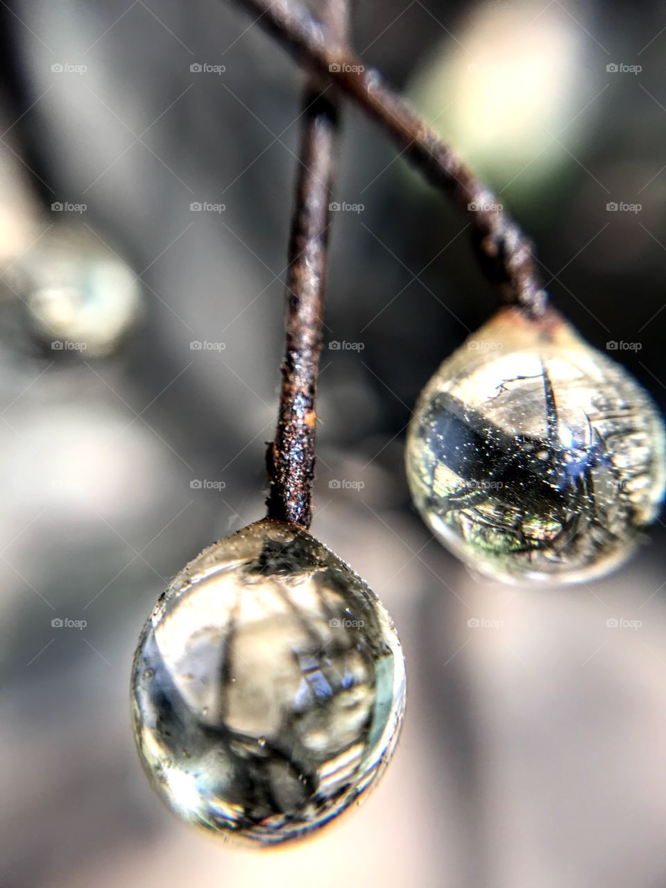 Reflections in glass bauble