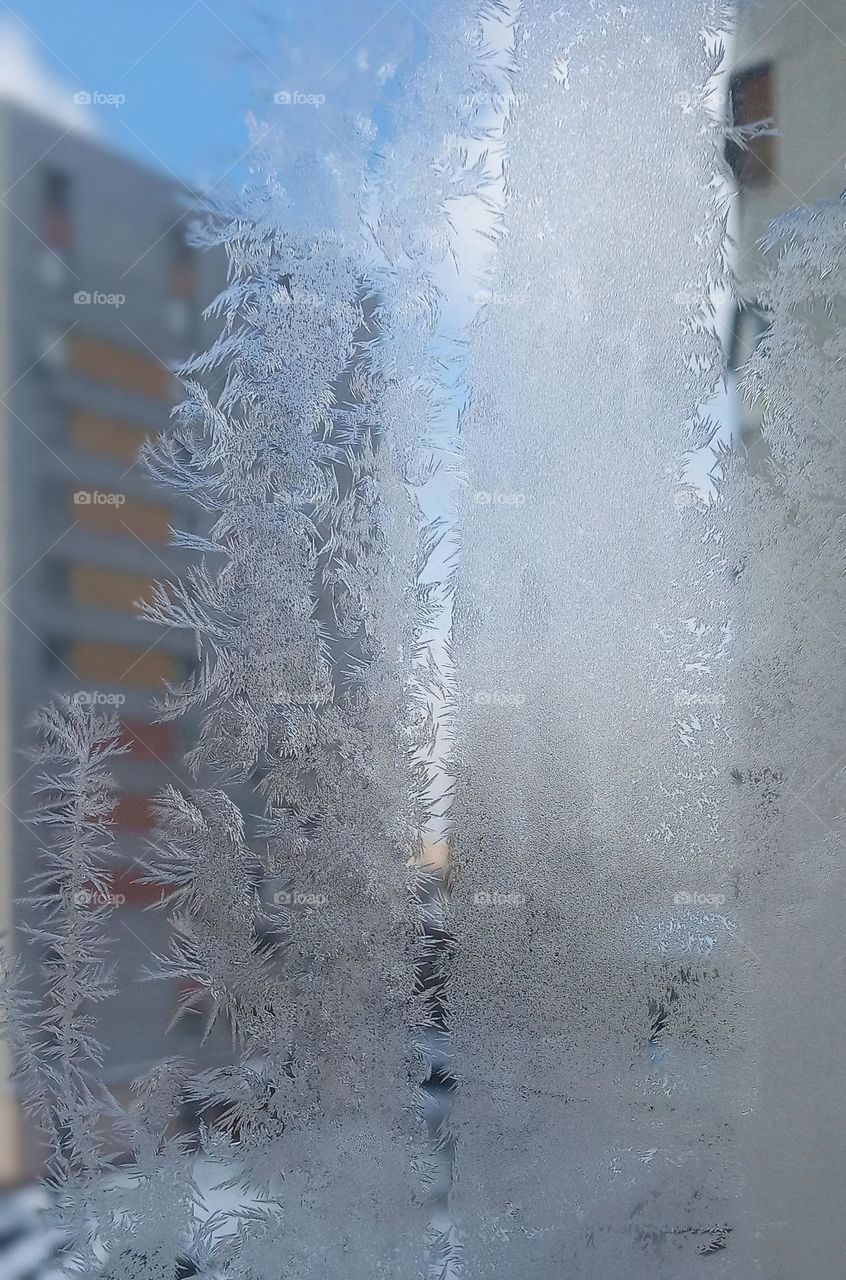 Frosty Marvels: Nature's Icy Artistry