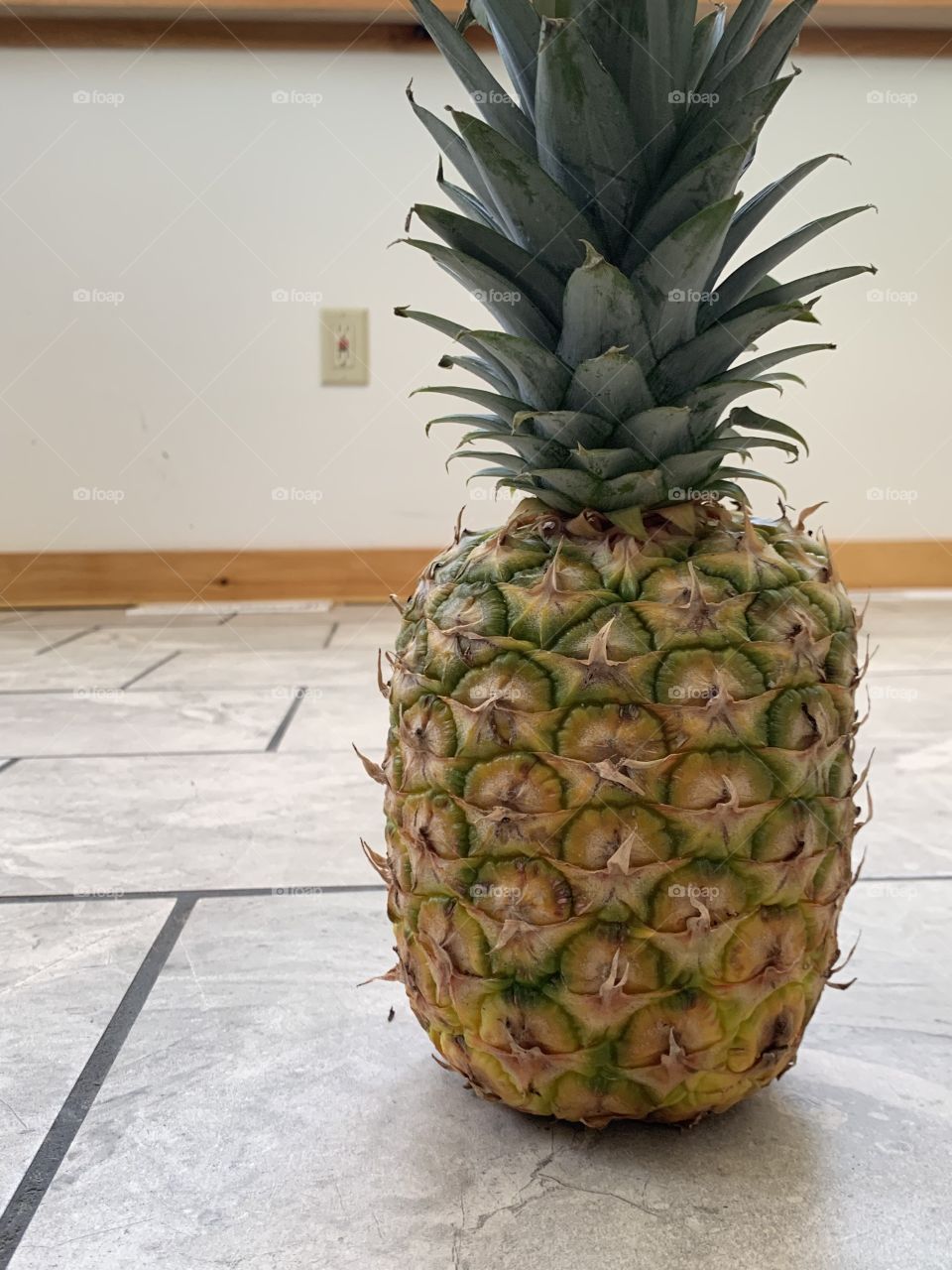 Pineapple 