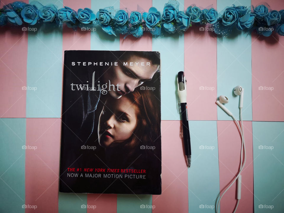 Twilight novel
