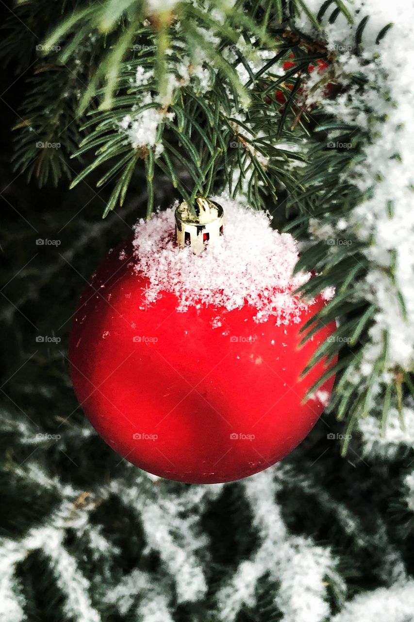 Snowy Ornament 