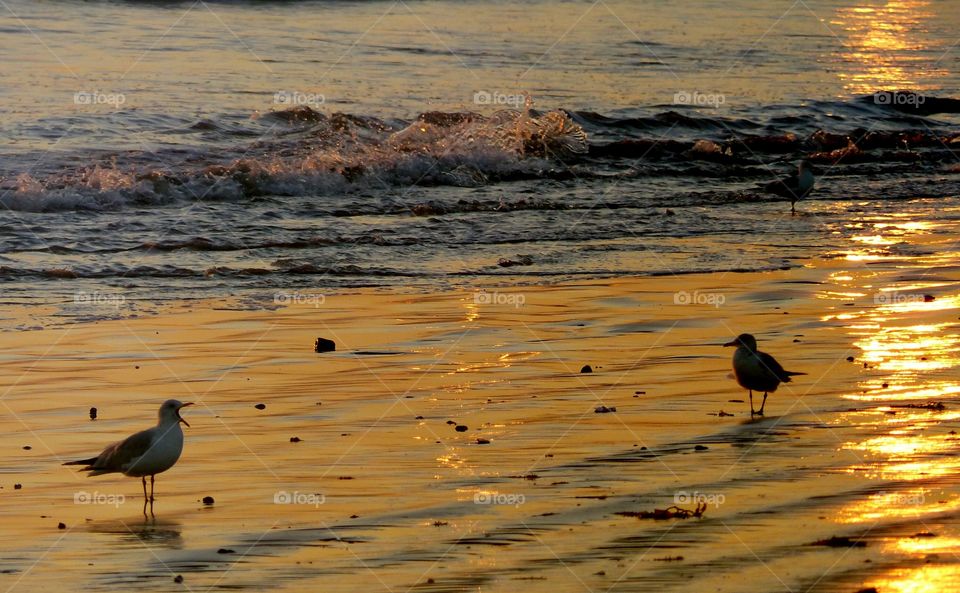 Colorful sunset reflecting on wet sand 