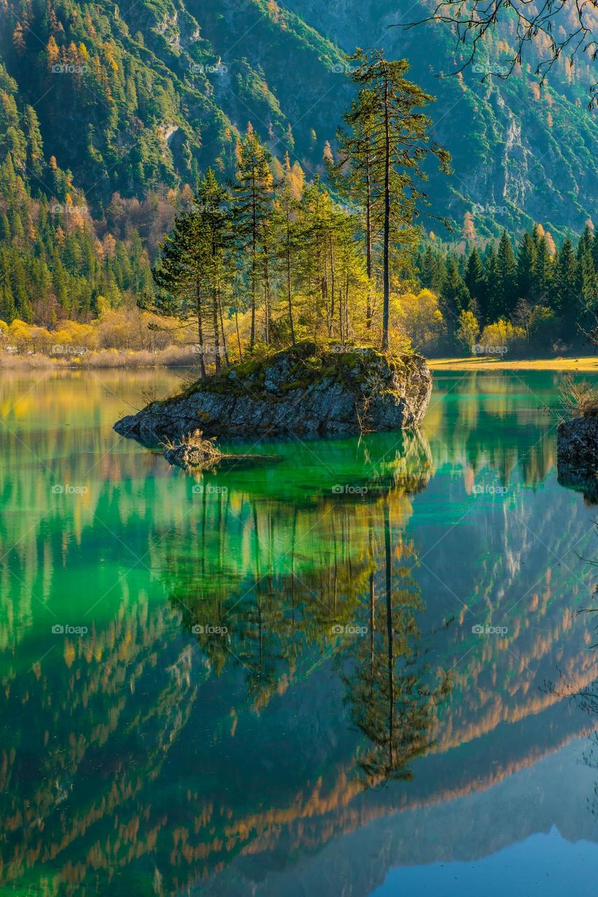 Beautiful reflection on water