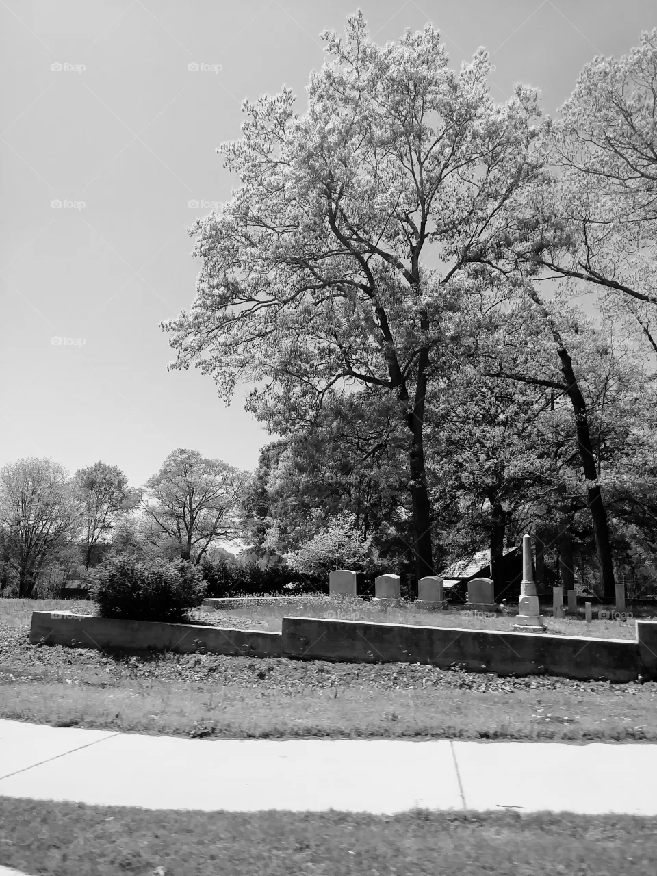 park