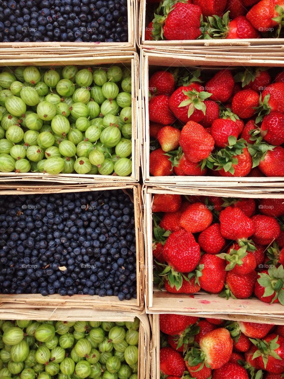 High angle view of variety of fruits