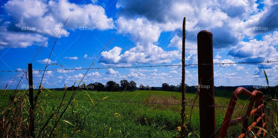 Ozark Mountain pasture with calm skies overhead 