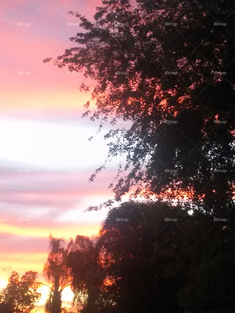 Beautiful Sunset, Lowing Sun .
Brings out Colors, Amazing Shades. One by One. 
Blessed I am , To be Able to Capture , on a Cell Phone , at that.  I could hear my Dad ask.
You took a Picture with your Phone? Well. Imagine That.