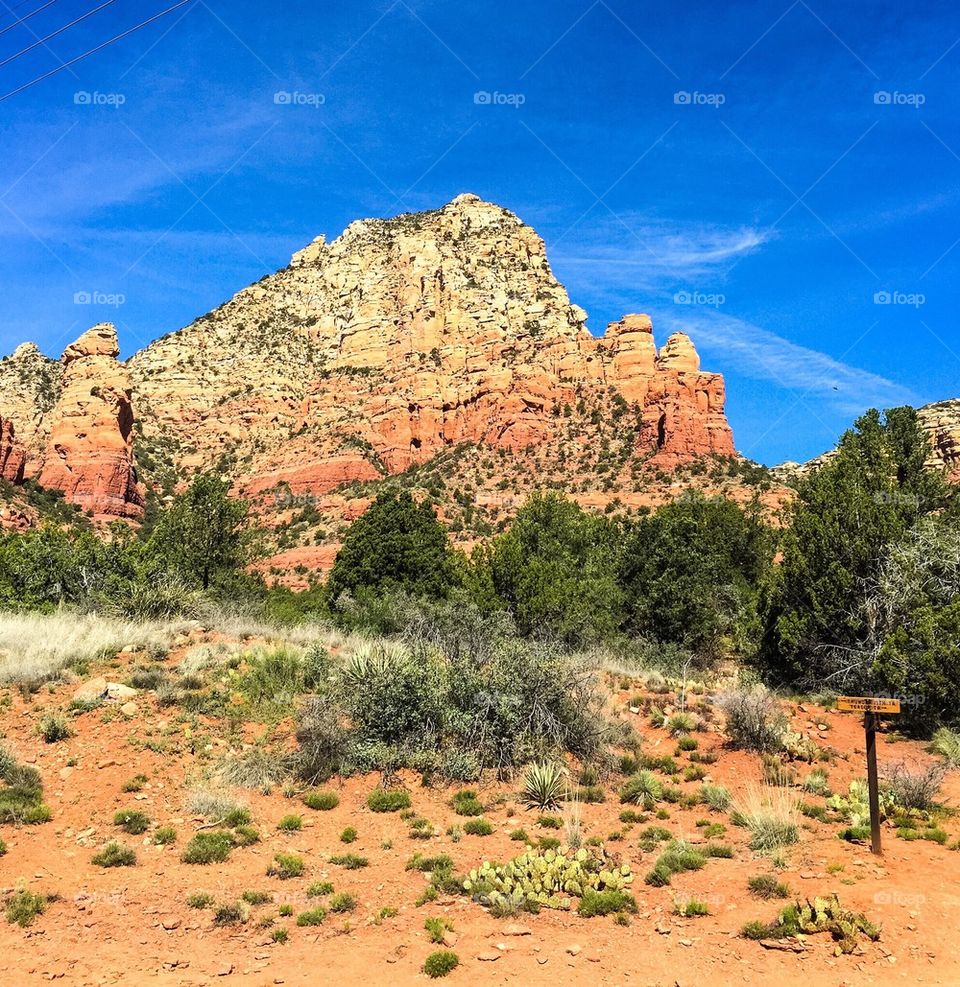 Red rock Sedona 