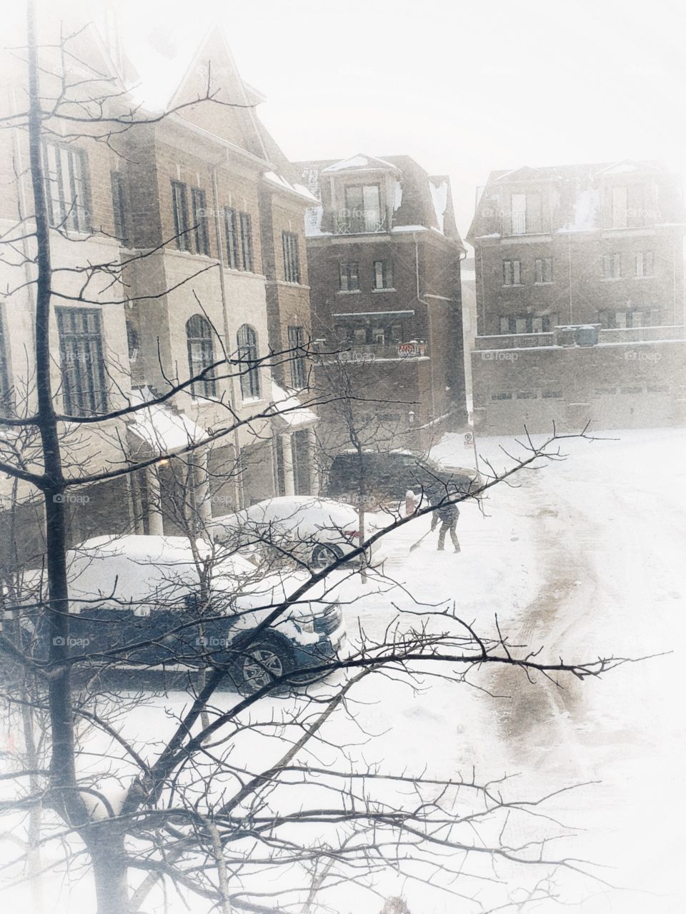 wow what a snow storm